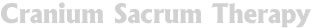 クラニオ・セイラクル・セラピー